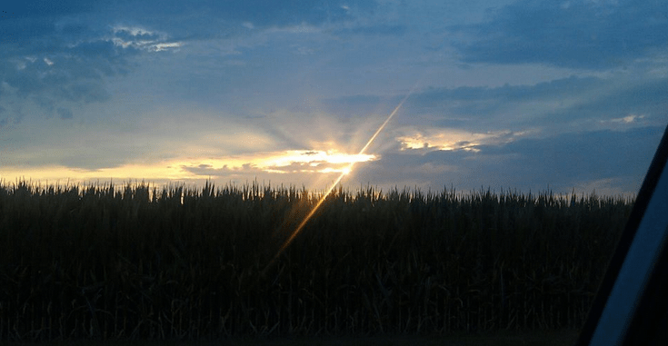 No More Cages C-U: Overnight Event on July&nbsp;27-28